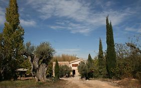 Maset Del Riu